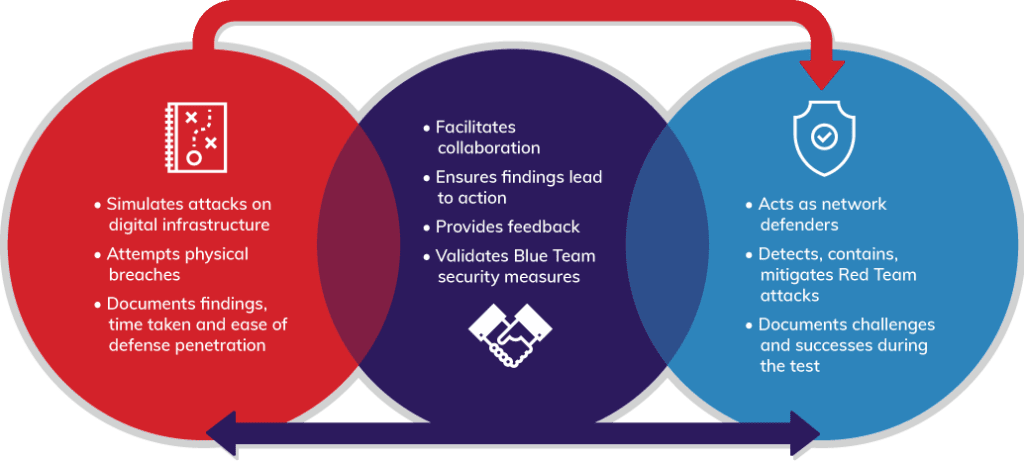 Venn diagram chart relating red team, purple team and blue team cyber testing teams and how they work together.